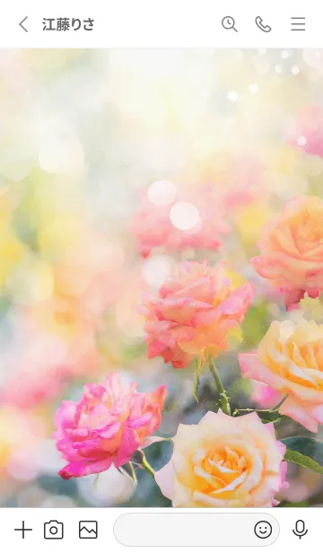 [LINE着せ替え] 薔薇(バラ)の花の着せかえ(R2735)の画像2