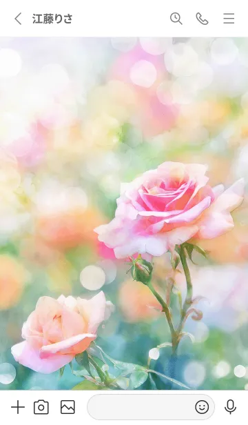 [LINE着せ替え] 薔薇(バラ)の花の着せかえ(R2737)の画像2