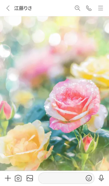 [LINE着せ替え] 薔薇(バラ)の花の着せかえ(R2739)の画像2