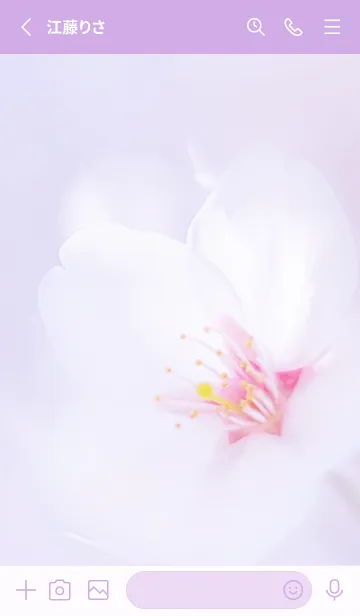 [LINE着せ替え] SakuraPhoto 37 Not AIの画像2