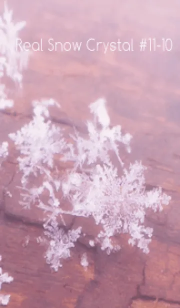 [LINE着せ替え] Real Snow Crystal #11-10の画像1