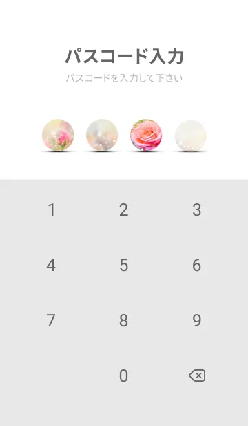 [LINE着せ替え] 薔薇(バラ)の花の着せかえ(R2749)の画像4