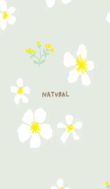 [LINE着せ替え] 黄と白い花11の画像1