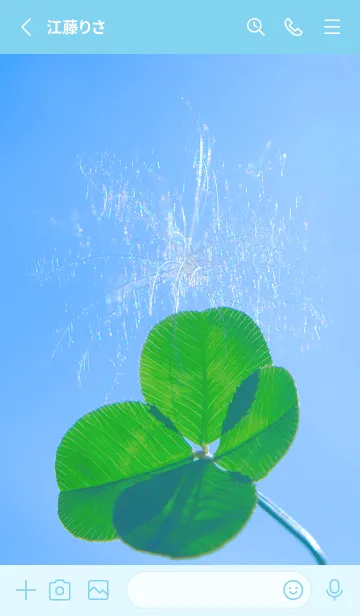 [LINE着せ替え] ケサランパサラン & Lucky clover #2-1の画像2