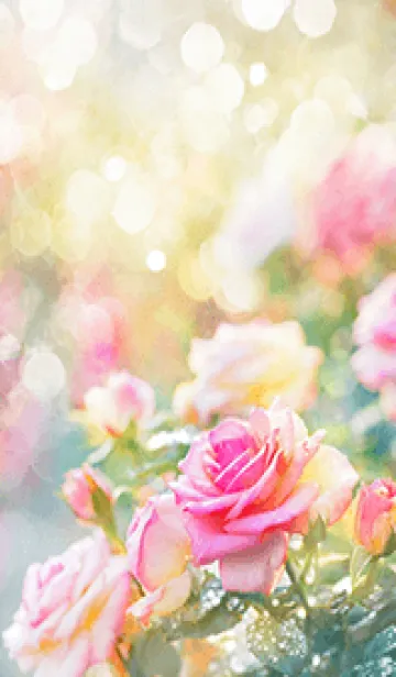 [LINE着せ替え] 薔薇(バラ)の花の着せかえ(R2760)の画像1