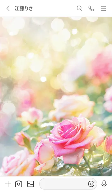 [LINE着せ替え] 薔薇(バラ)の花の着せかえ(R2760)の画像2