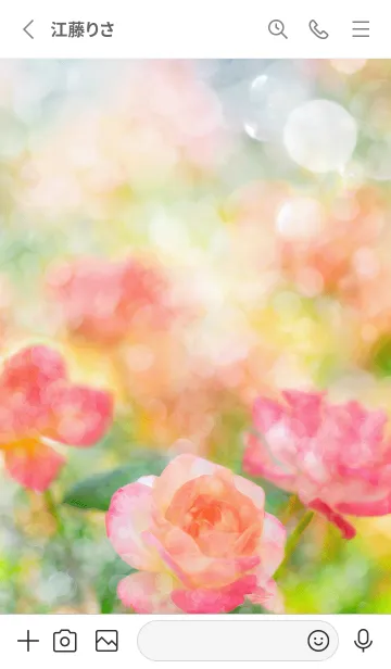 [LINE着せ替え] 薔薇(バラ)の花の着せかえ(R2767)の画像2