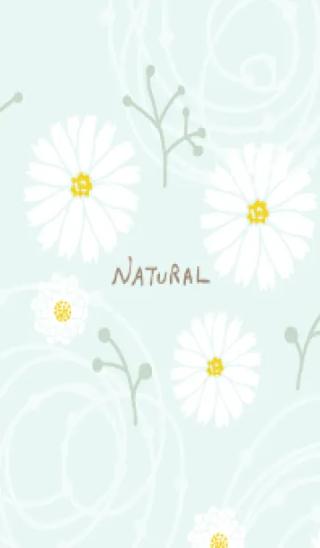 [LINE着せ替え] シンプル 白色の花の画像1