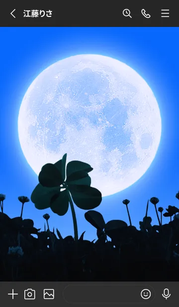 [LINE着せ替え] 7-Leaf Clover & Full Moon #7-11の画像2