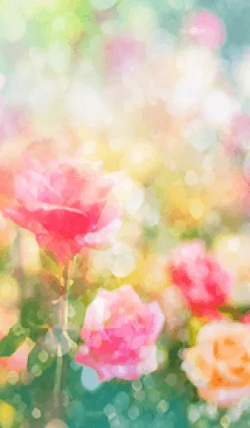 [LINE着せ替え] 薔薇(バラ)の花の着せかえ(R2783)の画像1