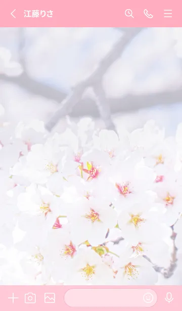 [LINE着せ替え] SakuraPhoto 52 Not AIの画像2