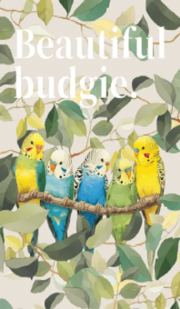 [LINE着せ替え] 綺麗なセキセイインコ。の画像1