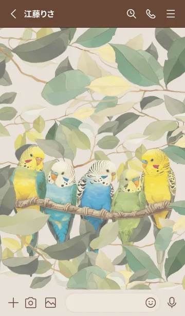 [LINE着せ替え] 綺麗なセキセイインコ。の画像2