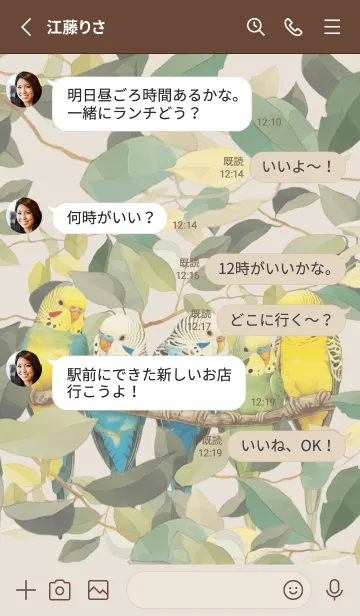 [LINE着せ替え] 綺麗なセキセイインコ。の画像3