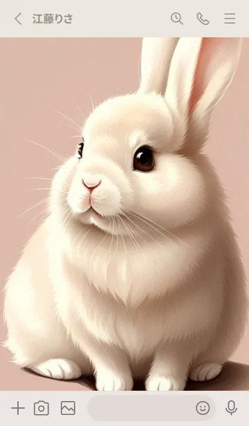 [LINE着せ替え] 可愛いウサギ 55gmの画像2