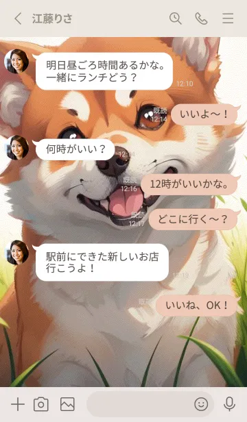 [LINE着せ替え] 笑顔の柴犬 mkNRの画像3