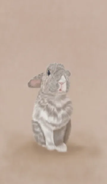 [LINE着せ替え] Rabbit0226の画像1