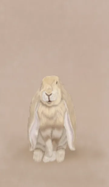 [LINE着せ替え] lop-eared rabbit0226の画像1