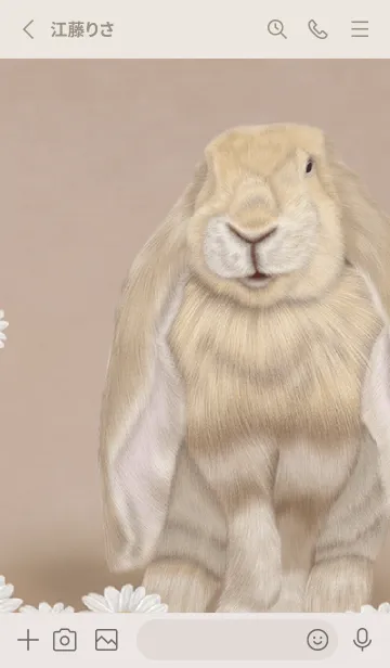 [LINE着せ替え] lop-eared rabbit0226の画像2