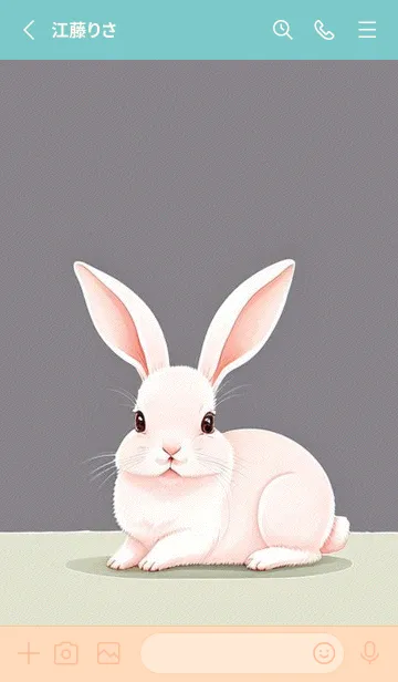 [LINE着せ替え] 可愛いウサギ hnlNの画像2