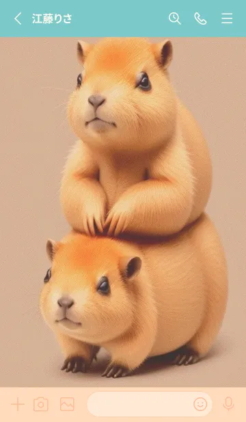 [LINE着せ替え] カピバラ kbF1の画像2
