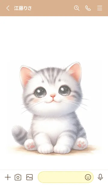 [LINE着せ替え] 仲間を求める猫たちの画像2