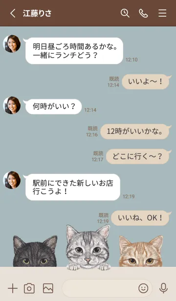 [LINE着せ替え] 猫！ - アメショ - ブルーグレーの画像3