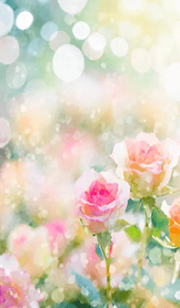 [LINE着せ替え] 薔薇(バラ)の花の着せかえ(R2815)の画像1