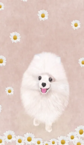 [LINE着せ替え] JS- 手描きの犬の画像1