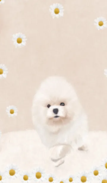 [LINE着せ替え] JS- 手描きの犬2の画像1