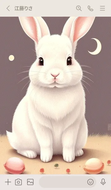 [LINE着せ替え] 可愛いウサギ BQncの画像2