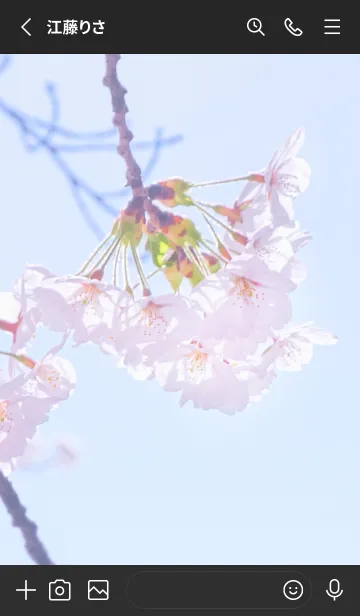 [LINE着せ替え] SakuraPhoto 61 Not AIの画像2