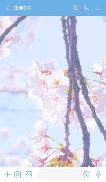 [LINE着せ替え] SakuraPhoto 62 Not AIの画像2