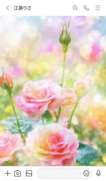 [LINE着せ替え] 薔薇(バラ)の花の着せかえ(R2837)の画像2