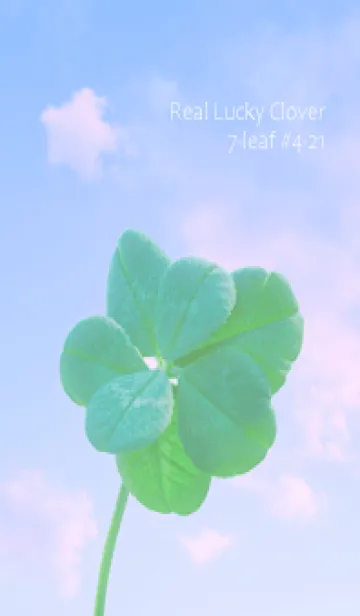 [LINE着せ替え] 本物ラッキークローバー 7-leaf #4-21の画像1