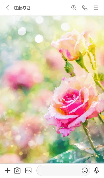 [LINE着せ替え] 薔薇(バラ)の花の着せかえ(R2846)の画像2