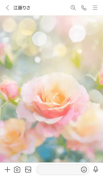 [LINE着せ替え] 薔薇(バラ)の花の着せかえ(R2848)の画像2