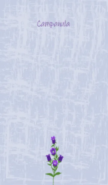 [LINE着せ替え] 3月の誕生花＊カンパニュラの画像1