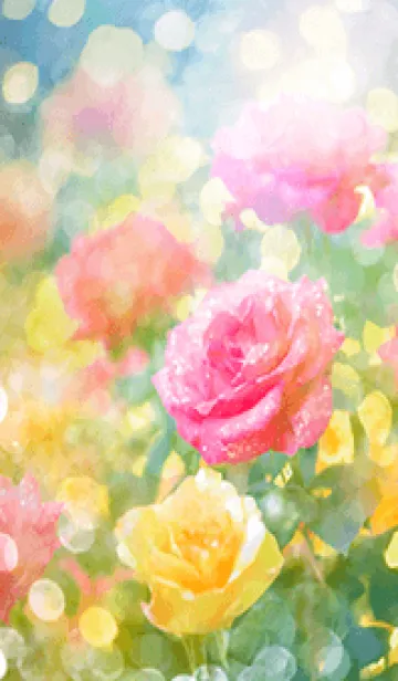 [LINE着せ替え] 薔薇(バラ)の花の着せかえ(R2867)の画像1