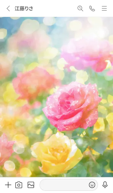 [LINE着せ替え] 薔薇(バラ)の花の着せかえ(R2867)の画像2