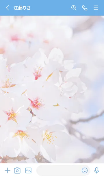 [LINE着せ替え] SakuraPhoto 76 Not AIの画像2