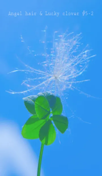 [LINE着せ替え] ケサランパサラン & Lucky clover #5-2の画像1