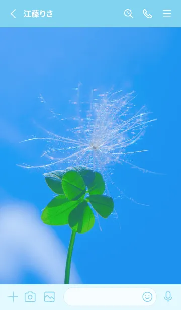 [LINE着せ替え] ケサランパサラン & Lucky clover #5-2の画像2