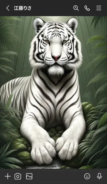 [LINE着せ替え] 森林のトラ JN5sの画像2