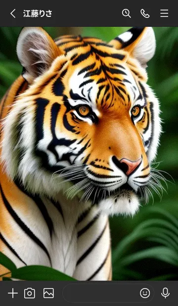 [LINE着せ替え] 森林のトラ f0Emの画像2