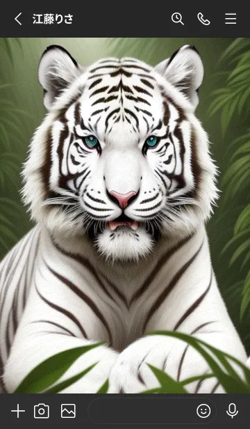 [LINE着せ替え] 森林のトラ Txvfの画像2