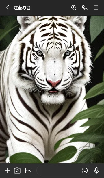 [LINE着せ替え] 森林のトラ ABffの画像2