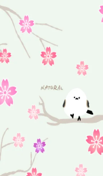 [LINE着せ替え] シマエナガ 桜19の画像1