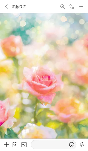 [LINE着せ替え] 薔薇(バラ)の花の着せかえ(R2891)の画像2