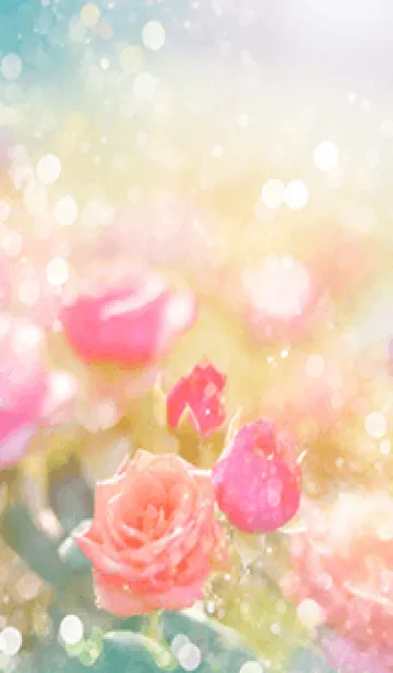 [LINE着せ替え] 薔薇(バラ)の花の着せかえ(R2895)の画像1